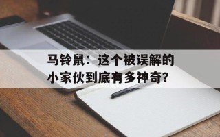 马铃鼠：这个被误解的小家伙到底有多神奇？