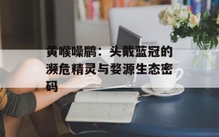 黄喉噪鹛：头戴蓝冠的濒危精灵与婺源生态密码
