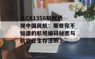 从CA1358航班透视中国民航：那些你不知道的航班编码秘密与航空业生存法则