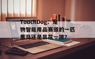 TouchDog：宠物智能用品赛道的一匹黑马还是昙花一现？