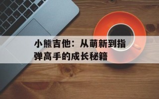 小熊吉他：从萌新到指弹高手的成长秘籍