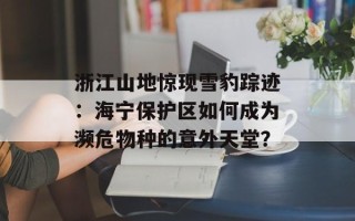 浙江山地惊现雪豹踪迹：海宁保护区如何成为濒危物种的意外天堂？