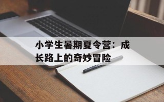 小学生暑期夏令营：成长路上的奇妙冒险