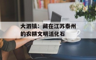 大泗镇：藏在江苏泰州的农耕文明活化石