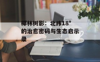 椰林树影：北纬18°的治愈密码与生态启示录