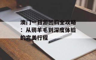 澳门一日游团购全攻略：从薅羊毛到深度体验的完美行程
