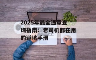 2025年最全违章查询指南：老司机都在用的避坑手册
