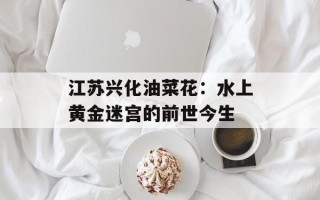 江苏兴化油菜花：水上黄金迷宫的前世今生