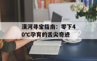 漠河寻宝指南：零下40℃孕育的舌尖奇迹