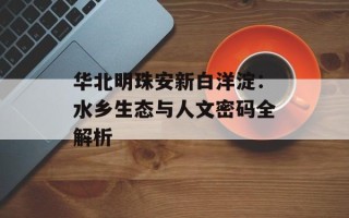 华北明珠安新白洋淀：水乡生态与人文密码全解析