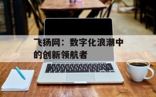 飞扬网：数字化浪潮中的创新领航者