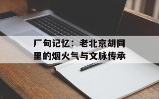 厂甸记忆：老北京胡同里的烟火气与文脉传承