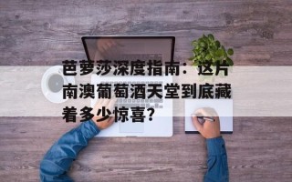 芭萝莎深度指南：这片南澳葡萄酒天堂到底藏着多少惊喜？