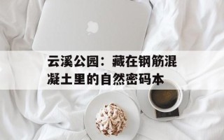 云溪公园：藏在钢筋混凝土里的自然密码本