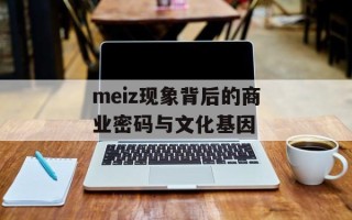 meiz现象背后的商业密码与文化基因