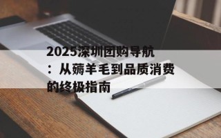 2025深圳团购导航：从薅羊毛到品质消费的终极指南