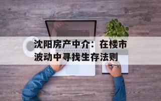 沈阳房产中介：在楼市波动中寻找生存法则