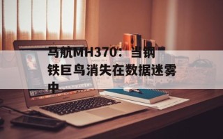 马航MH370：当钢铁巨鸟消失在数据迷雾中