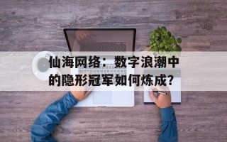 仙海网络：数字浪潮中的隐形冠军如何炼成？