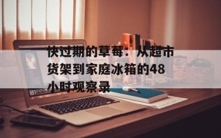 快过期的草莓：从超市货架到家庭冰箱的48小时观察录