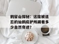 鹤留山探秘：这座被遗忘的仙鹤庇护所藏着多少自然奇迹？