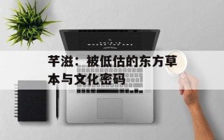 芊滋：被低估的东方草本与文化密码