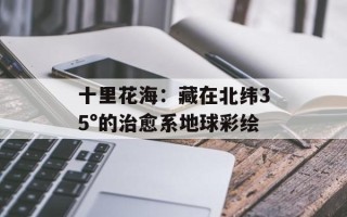 十里花海：藏在北纬35°的治愈系地球彩绘