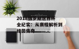 2018俄罗斯世界杯全纪实：从赛程解析到绿茵传奇