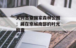 大兴古桑国家森林公园：藏在京城南部的时光胶囊