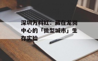 深圳万科红：藏在龙岗中心的「微型城市」生存实验