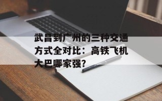 武昌到广州的三种交通方式全对比：高铁飞机大巴哪家强？