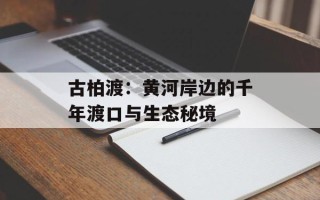 古柏渡：黄河岸边的千年渡口与生态秘境