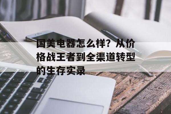 国美电器怎么样？从价格战王者到全渠道转型的生存实录-第1张图片-