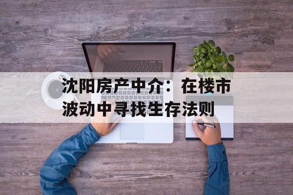 沈阳房产中介：在楼市波动中寻找生存法则-第1张图片-