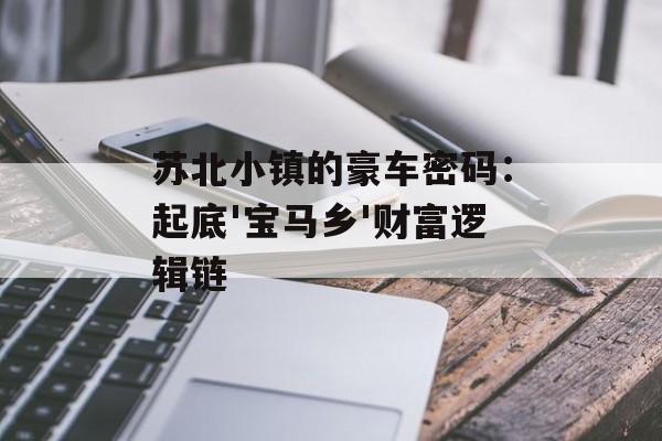 苏北小镇的豪车密码：起底'宝马乡'财富逻辑链-第1张图片-