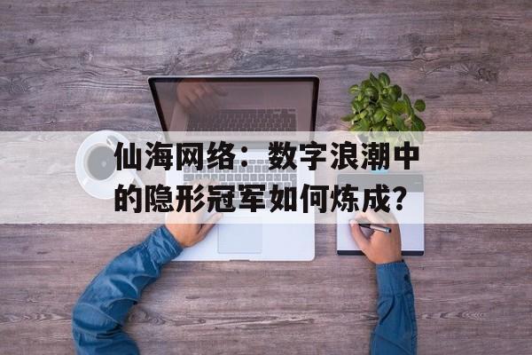 仙海网络：数字浪潮中的隐形冠军如何炼成？-第1张图片-