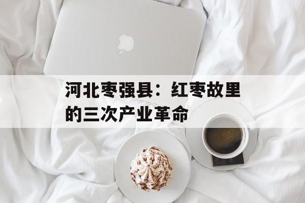 河北枣强县：红枣故里的三次产业革命-第1张图片-
