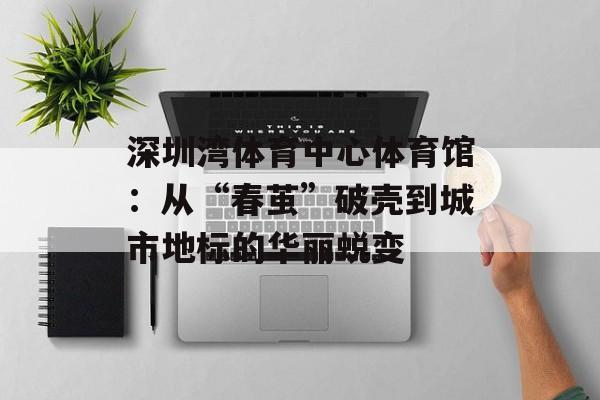 深圳湾体育中心体育馆:从“春茧”破壳到城市地标的华丽蜕变-第1张图片- 深圳湾体育中心体育馆:从“春茧”破壳到城市地标的华丽蜕变-第1张图片-