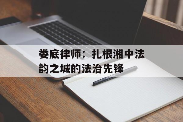 娄底律师：扎根湘中法韵之城的法治先锋-第1张图片-