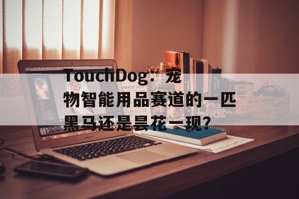 TouchDog：宠物智能用品赛道的一匹黑马还是昙花一现？-第1张图片-