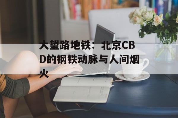 大望路地铁：北京CBD的钢铁动脉与人间烟火-第1张图片-