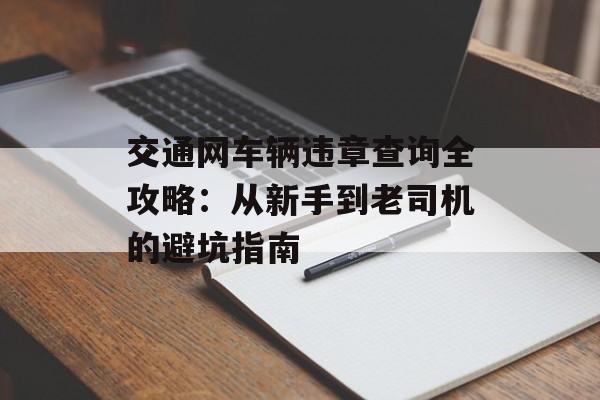 交通网车辆违章查询全攻略：从新手到老司机的避坑指南-第1张图片-