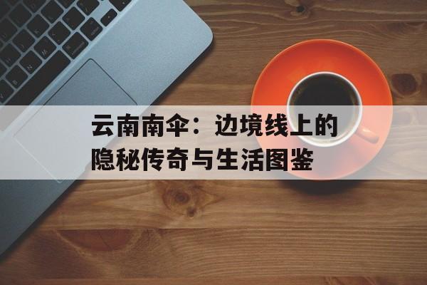 云南南伞：边境线上的隐秘传奇与生活图鉴-第1张图片-