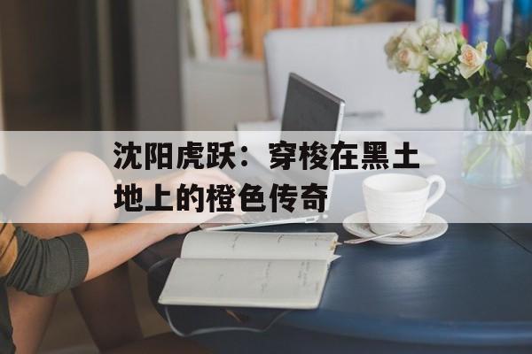 沈阳虎跃：穿梭在黑土地上的橙色传奇-第1张图片-