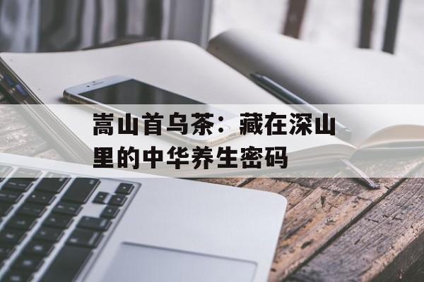嵩山首乌茶：藏在深山里的中华养生密码-第1张图片-