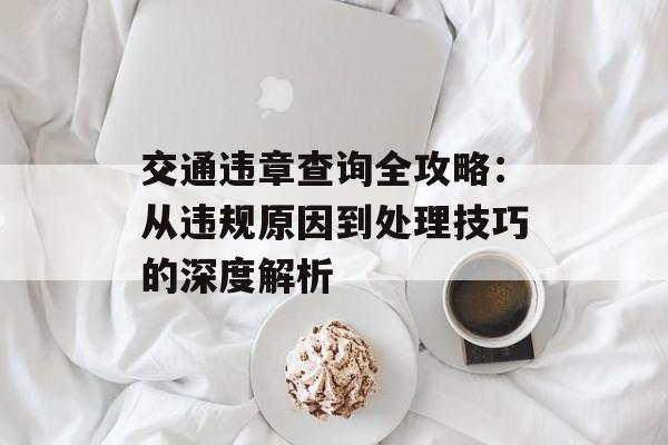交通违章查询全攻略：从违规原因到处理技巧的深度解析-第1张图片-